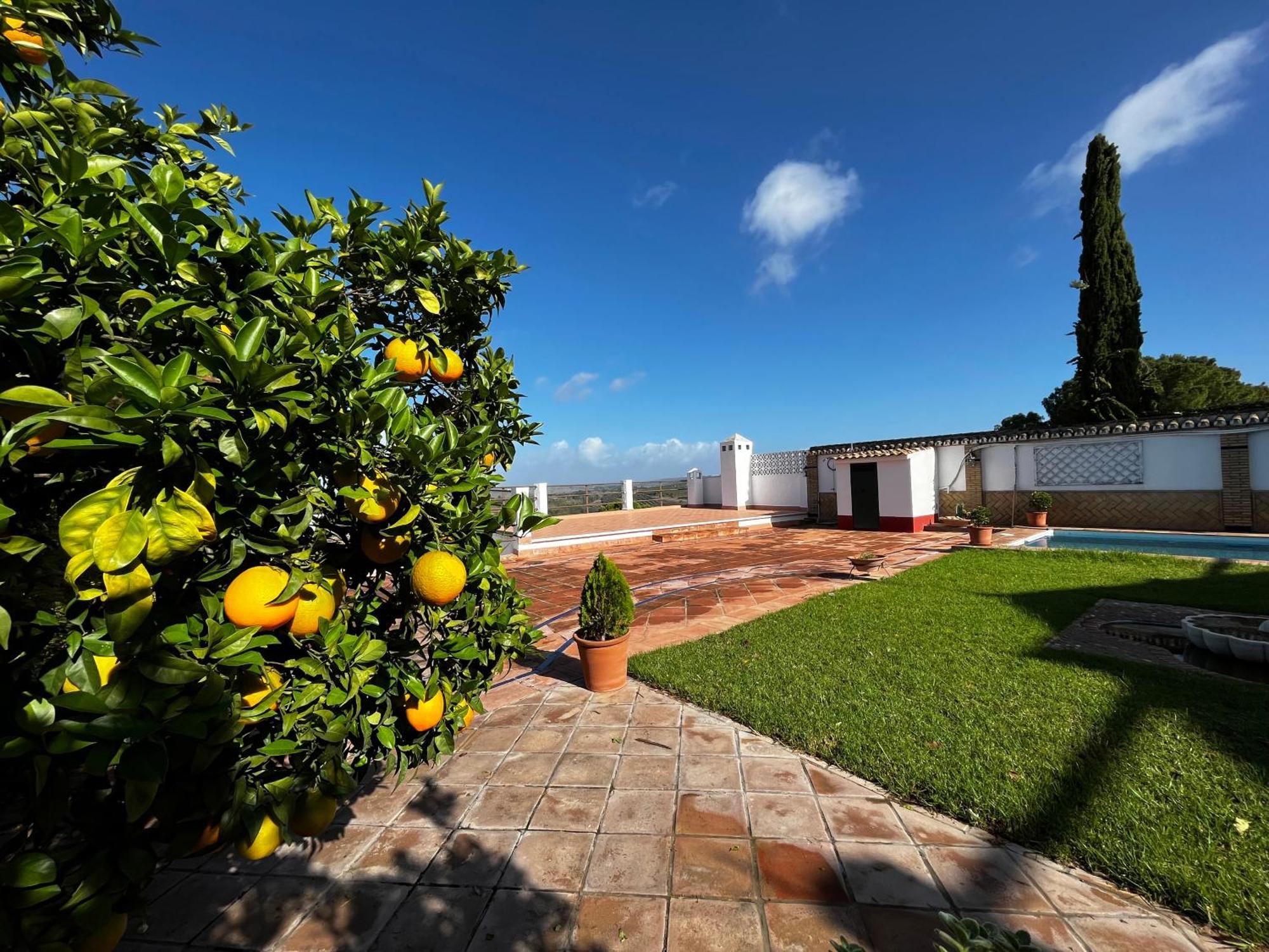 Az-zait Villa *